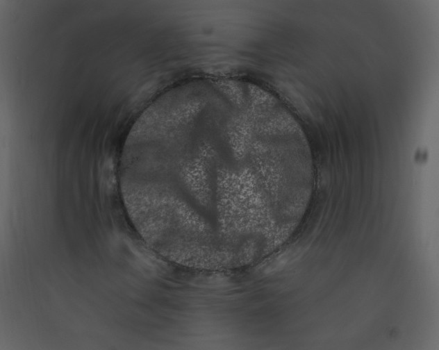 X0000089431106200707131838