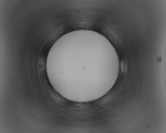 X0000089431107200707131838