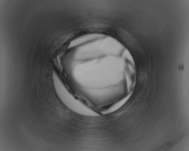 X0000089431108200707131838