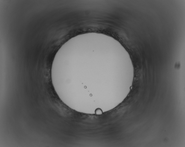 X0000089431109200707131838