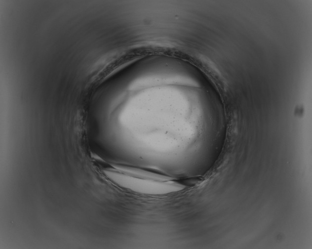 X0000089431110200707131838