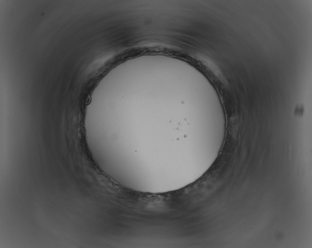 X0000089431111200707131838