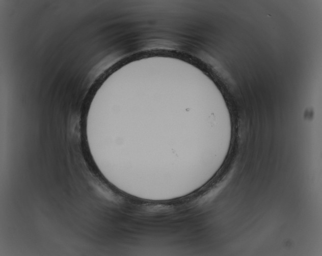 X0000089431113200707131838