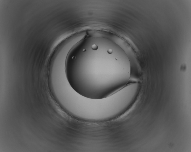 X0000089431114200707131838