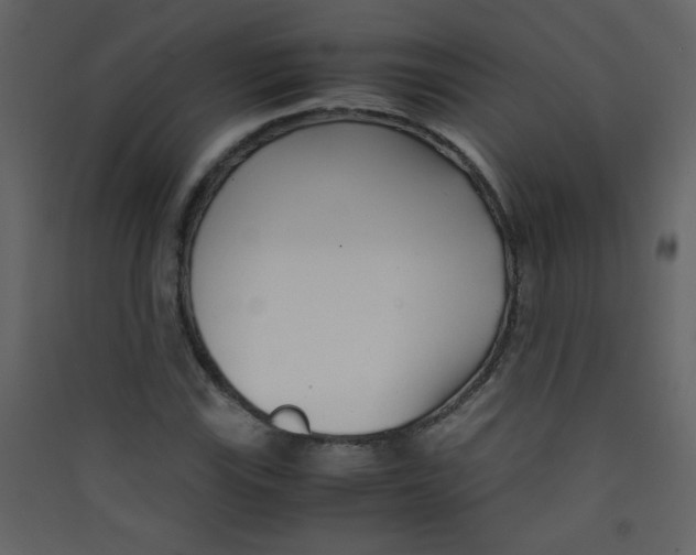 X0000089431115200707131838