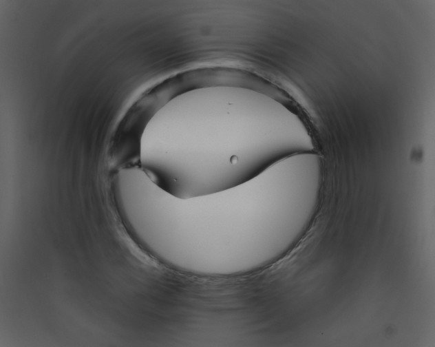 X0000089431116200707131838