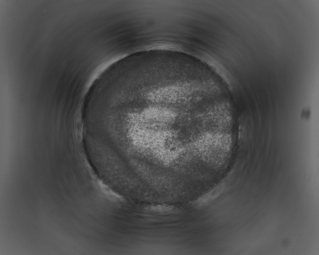 X0000089431117200707131838