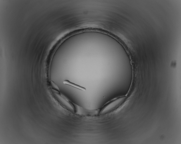 X0000089431118200707131838