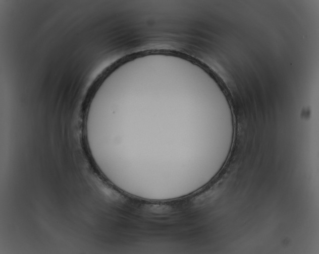 X0000089431119200707131838