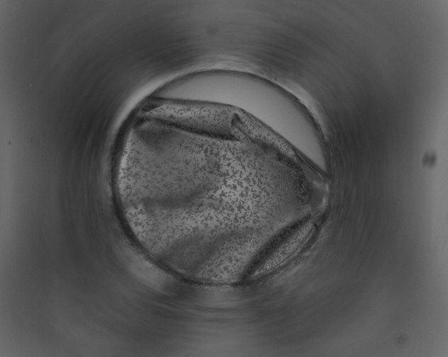 X0000089431120200707131838