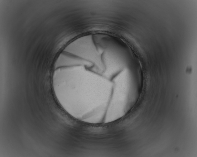 X0000089431121200707131838