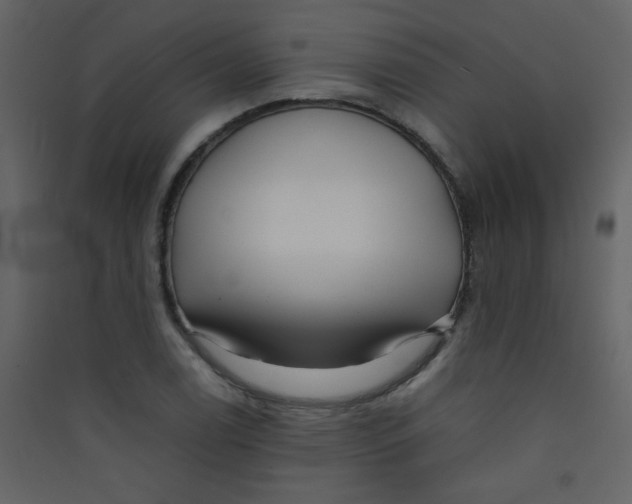 X0000089431122200707131838