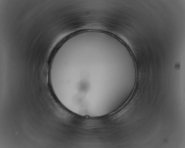 X0000089431123200707131838