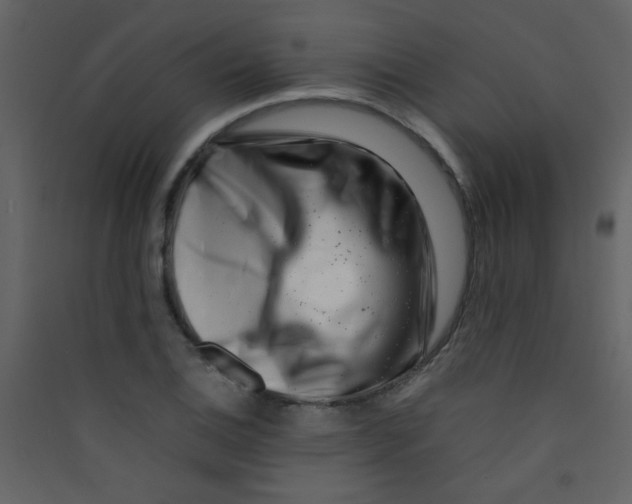 X0000089431124200707131838