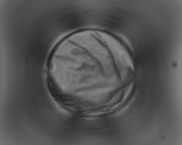 X0000089431125200707131838