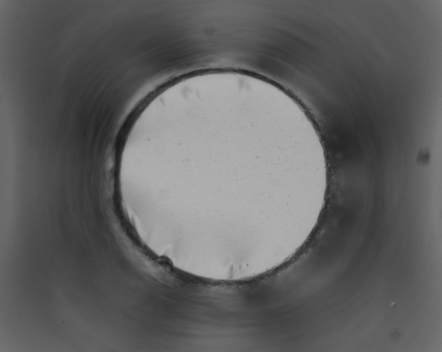 X0000089431126200707131838