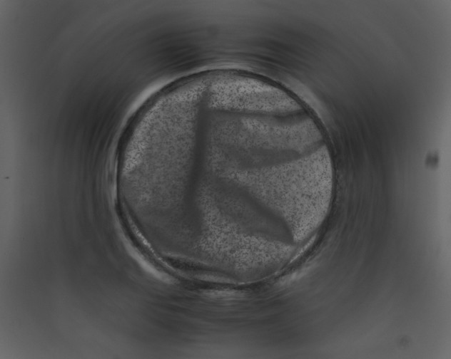 X0000089431127200707131838