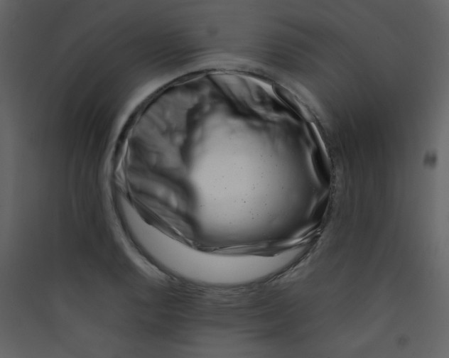 X0000089431128200707131838