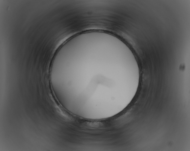 X0000089431129200707131838