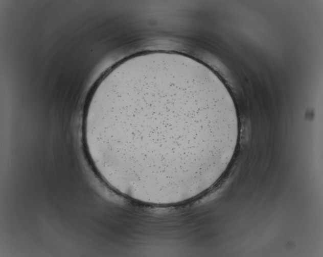 X0000089431130200707131838