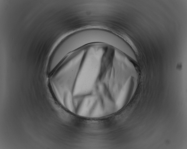 X0000089431132200707131839