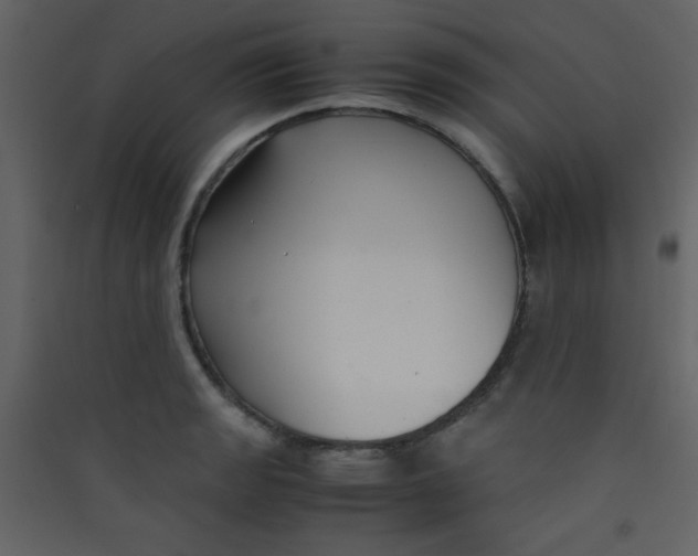 X0000089431133200707131839