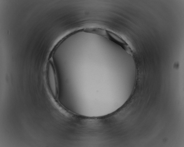 X0000089431134200707131839