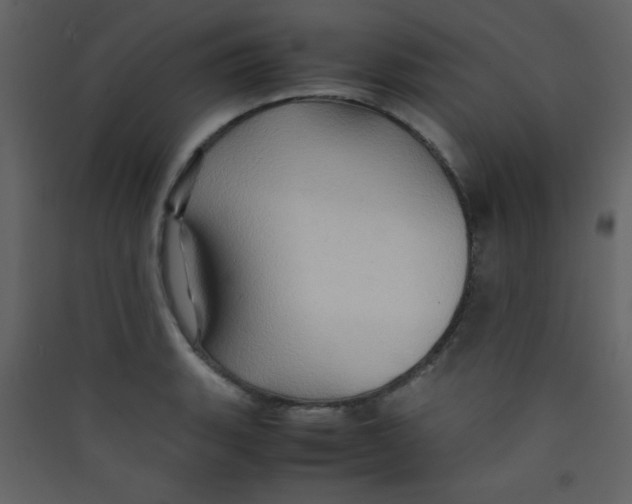 X0000089431135200707131839