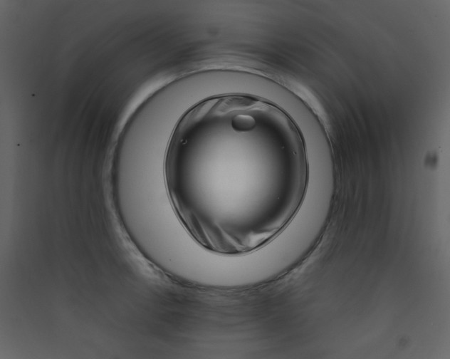 X0000089431138200707131839