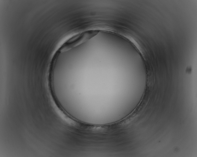 X0000089431139200707131839