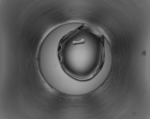 X0000089431140200707131839