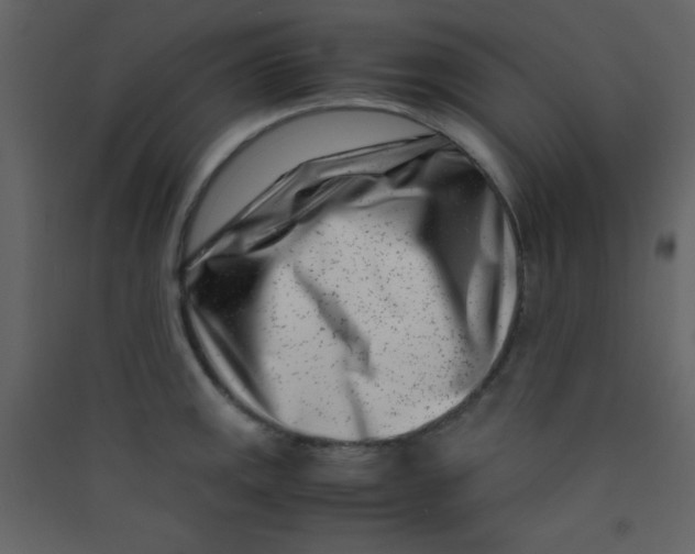 X0000089431141200707131839