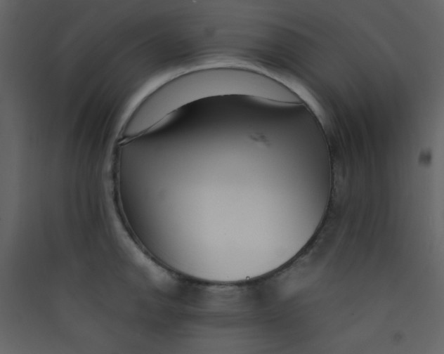 X0000089431142200707131839