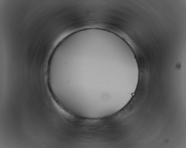 X0000089431143200707131839