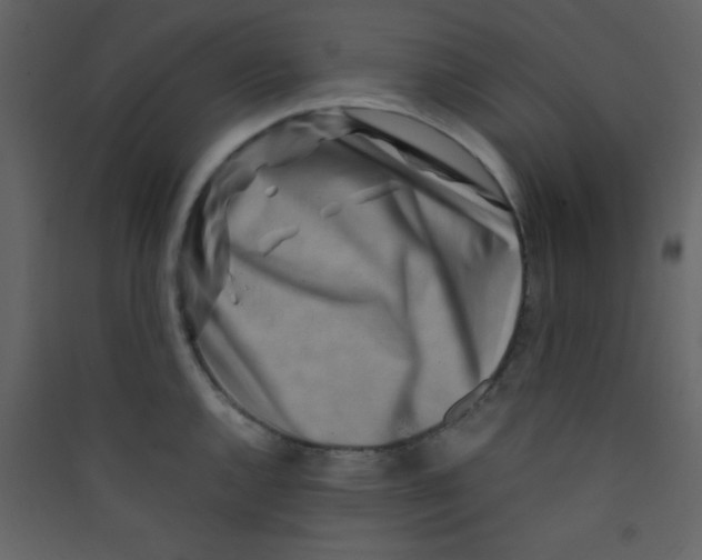 X0000089431144200707131839