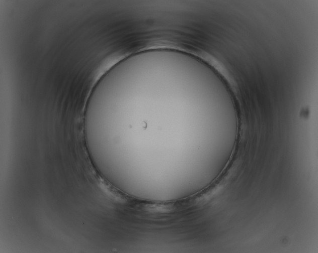 X0000089431145200707131839