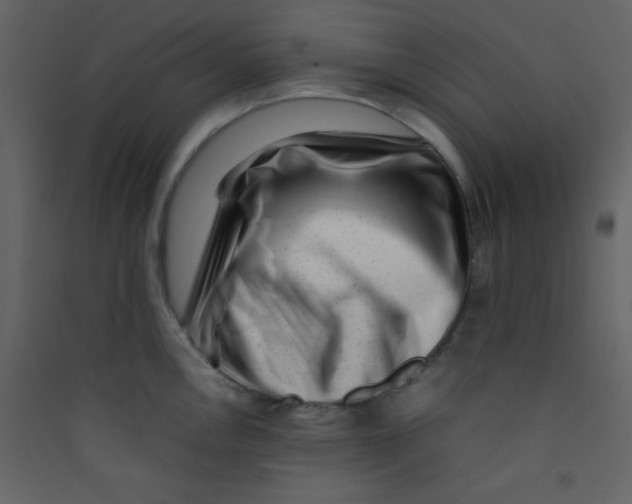 X0000089431146200707131839