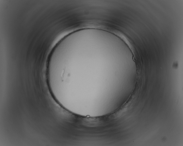 X0000089431147200707131839