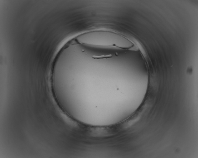 X0000089431149200707131839