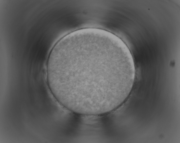 X0000089431150200707131839