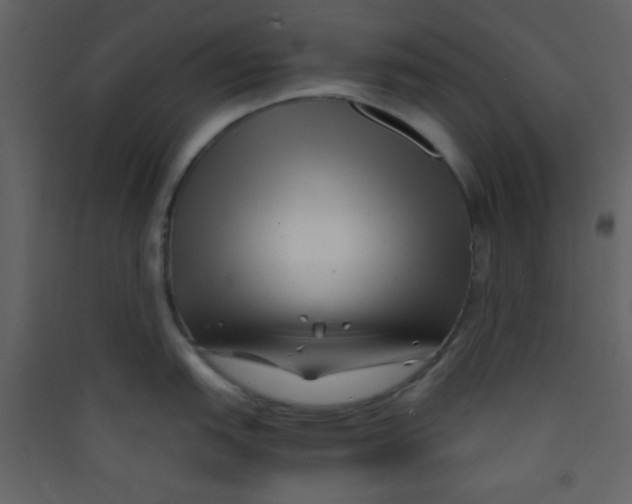 X0000089431151200707131839