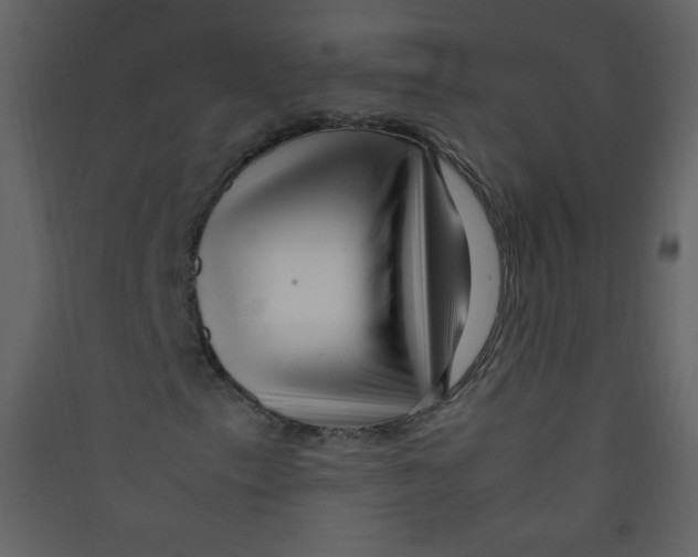 X0000089431153200707131838