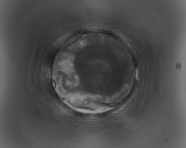 X0000089431155200707131838