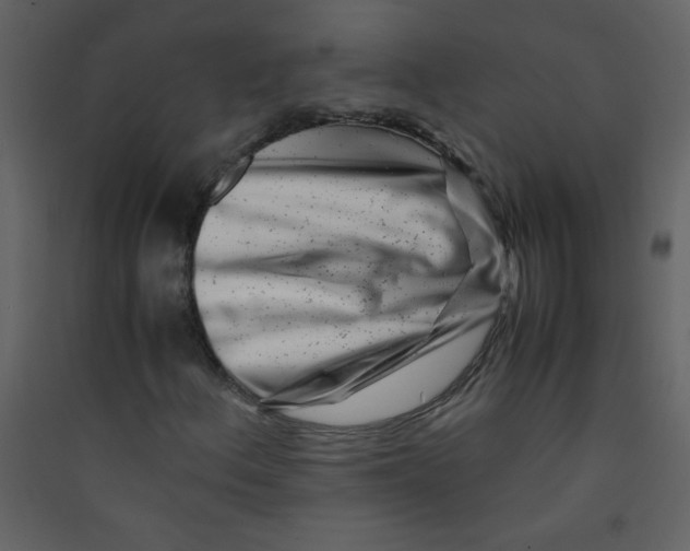 X0000089431156200707131838