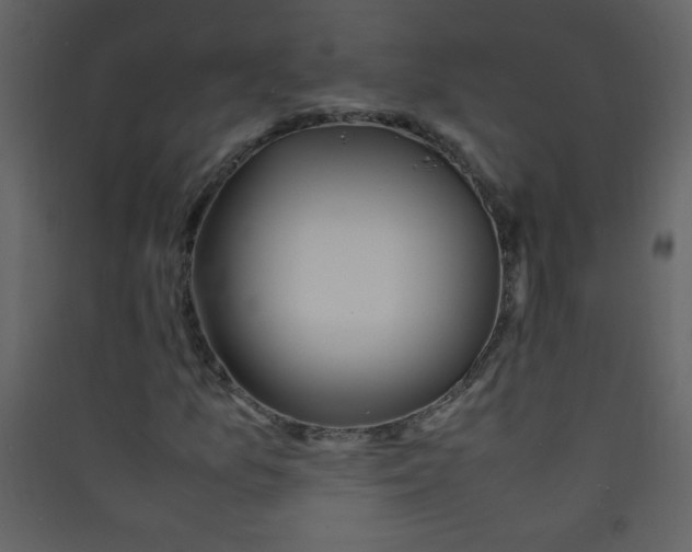 X0000089431157200707131838