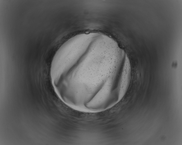 X0000089431158200707131838