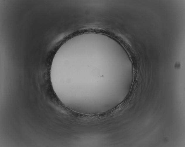 X0000089431159200707131838