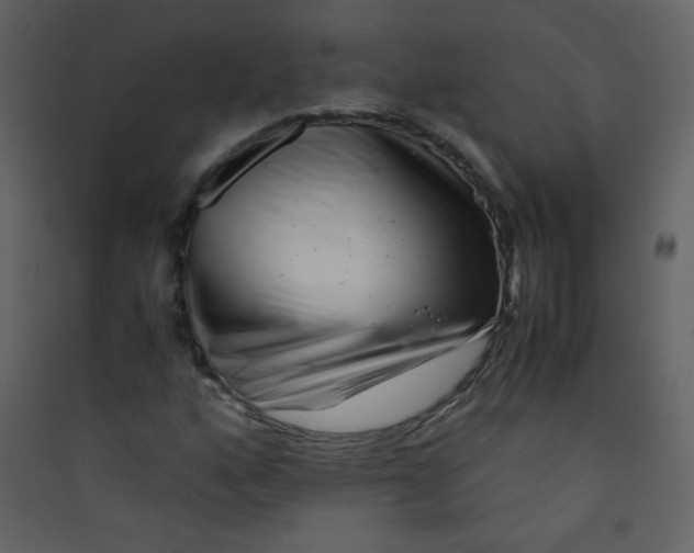 X0000089431160200707131838