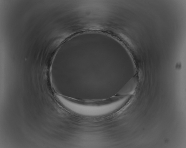 X0000089431161200707131838