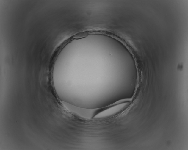 X0000089431165200707131838